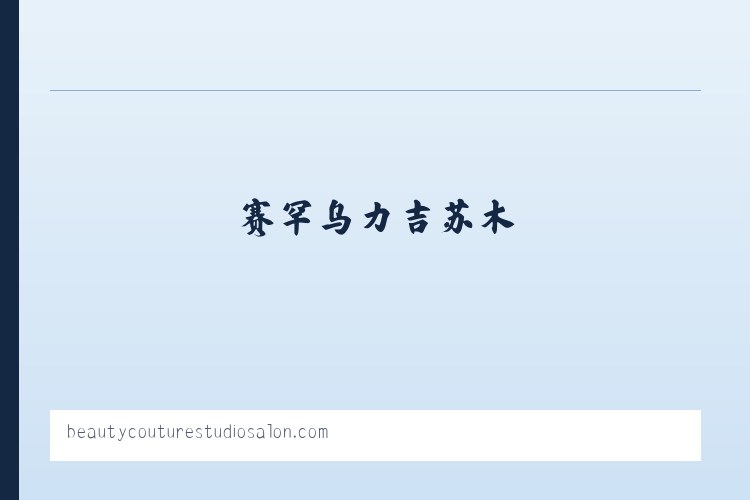 昌吉回族自治州 - Beauty Couture Studio Salon 列表图